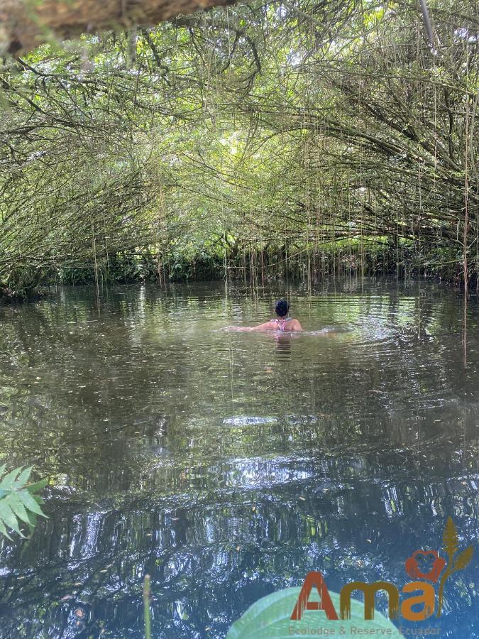 Ama Ecolodge Puerto Misahuallí Екстериор снимка