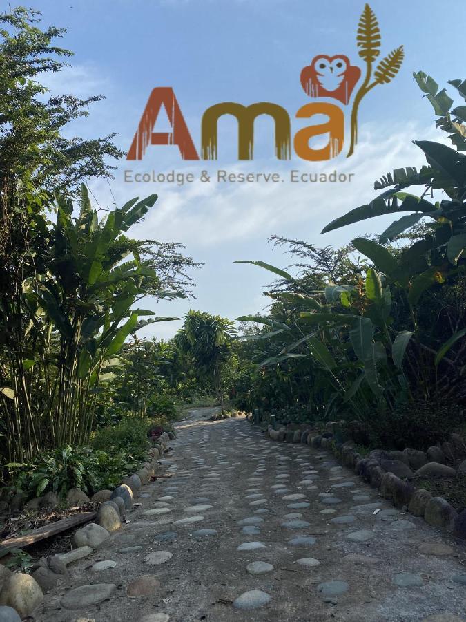 Ama Ecolodge Puerto Misahuallí Екстериор снимка